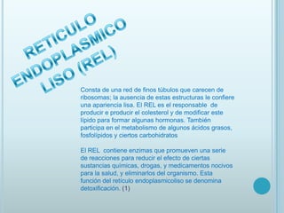 EJEMPLO____________________________6