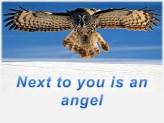Next to you is an angel 