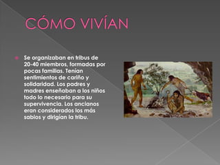 CÓMO VIVÍANSe organizaban en tribus de 20-40 miembros, formadas por pocas familias. Tenían sentimientos de cariño y solidaridad. Los padres y madres enseñaban a los niños todo lo necesario para su supervivencia. Los ancianos eran considerados los más sabios y dirigían la tribu. 