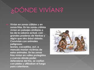 ¿DÓNDE VIVÍAN?Vivían en zonas cálidas y en zonas frías. En las zonas cálidas vivían en paisajes similares a los de la sabana actual, con grandes praderas de hierbas y algún que otro árbol aislado. Convivían con animales peligrosos: leones, cocodrilos, ect, a menudo morían víctimas de estos animales. En las zonas frías vivían en valles protegidos y cuevas dónde poder defenderse del frío, se vestían con pieles y utilizaban el fuego para calentarse.