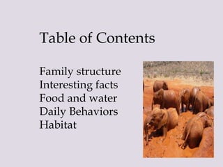 Table of Contents
Family structure
Interesting facts
Food and water
Daily Behaviors
Habitat