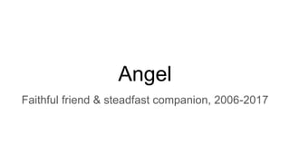 Angel
Faithful friend & steadfast companion, 2006-2017
 