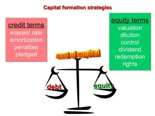 Capital formation strategies debt equity cost of capital credit terms interest rate amortization penalties pledged equity terms valuation dilution control dividend redemption rights 