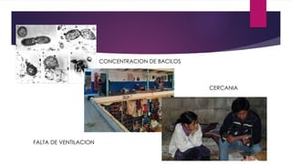 CONCENTRACION DE BACILOS
FALTA DE VENTILACION
CERCANIA
 