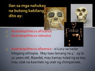 ang pinagmulan ng tao | PPTX
