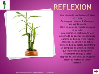 Una planta de bambú tarda 7 años
en crecer
Se imaginan esperar 7 años para
ver salir la planta
Claro sin dejar de regarla, pero eso
no es todo;
Sin embargo, al séptimo año y en
un periodo de apenas seis semanas,
la planta de bambú crece más de
30 metros de altura. Y se debe a
que este bambú estaba generando
un complejo de sistema de raíces
que le permitirían sostener el
crecimiento que iba a tener
después de siete años, se imaginan
crecer 30 metros en solo 6
semanas.
19/06/2013INSTRUCTOR: Dra. ANGELA VIVIANA SANCHEZ
 