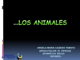 …LOS ANIMALES ANGELA MARIA CAIZEDO TAMAYO        administración de empresas 	    informática básica                  Unisangil 