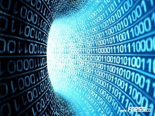 Angela cordoba 8 informatica