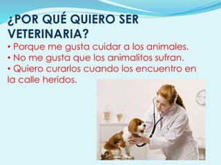 ¿POR QUÉ QUIERO SER
VETERINARIA?
• Porque me gusta cuidar a los animales.
• No me gusta que los animalitos sufran.
• Quiero curarlos cuando los encuentro en
la calle heridos.
 