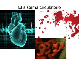 El sistema  circulatorio 