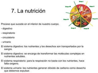 1. La sangre OTRAS FUNCIONES DE LA SANGRE