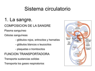 Sistema circulatorio 1. La sangre. COMPOSICION DE LA SANGRE