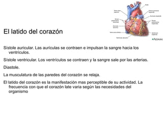 FUNCION TRANSPORTADORA