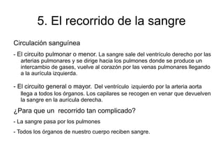 Transporta sustancias solidas