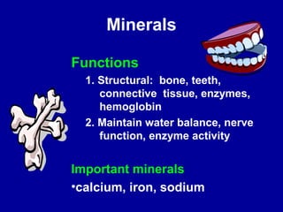 Minerals 
Functions 
1. Structural: bone, teeth, 
connective tissue, enzymes, 
hemoglobin 
2. Maintain water balance, nerve 
function, enzyme activity 
Important minerals 
•calcium, iron, sodium 
 