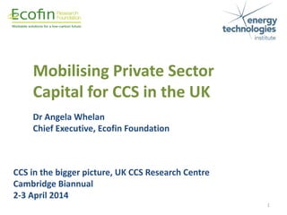 CCS in the bigger picture, UK CCS Research Centre
Cambridge Biannual
2-3 April 2014
Dr Angela Whelan
Chief Executive, Ecofin Foundation
1
Mobilising Private Sector
Capital for CCS in the UK
 