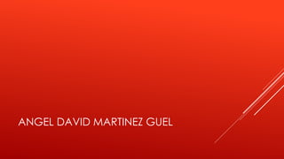 ANGEL DAVID MARTINEZ GUEL 
 