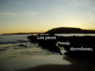 Los peces
más
dormilones,
 