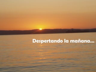 Despertando la mañana…
 