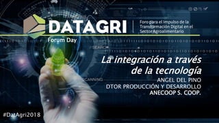 La integración a través
de la tecnología
ANGEL DEL PINO
DTOR PRODUCCIÓN Y DESARROLLO
ANECOOP S. COOP.
#DatAgri2018
Forum Day
 