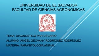 UNIVERSIDAD DE EL SALVADOR
FACULTAD DE CIENCIAS AGRONOMICAS
TEMA: DIAGNOSTICO PAR USUARIO
ALUMNO: ÁNGEL GEOVANY RODRÍGUEZ RODRÍGUEZ
MATERIA: PARASITOLOGIA ANIMAL
 