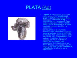 PLATA (Ag)
     •   La plata es un elemento químico de
         número atómico 47 situado en el
         grupo 1b de la tabla periódica de los
         elementos. Su símbolo es Ag
         (procede del latín: argentum). Es un
         metal de transición blanco, brillante,
         blando, dúctil, maleable y es el mejor
         conductor metálico del calor y la
         electricidad.
     •   Se encuentra en la naturaleza
         formando parte de distintos minerales
         (generalmente en forma de sulfuro) o
         como plata libre. Es muy escasa en la
         naturaleza, de la que representa una
         parte en 10 millones de corteza
         terrestre. La mayor parte de su
         producción se obtiene como
         subproducto del tratamiento de las
         minas de cobre, cinc, plomo y oro. La
         metalurgia a partir de sus minerales se
         realiza fundamentalmente por la
         cianuración
 