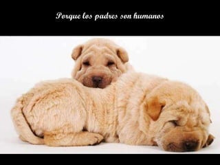 Porque los padres son humanos 