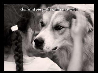 Amistad sin pedir nada a cambio 