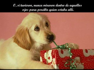 O, si tuvieron, nunca miraron dentro de aquellos  ojos para percibir quien estaba alli. 