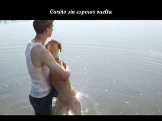 Cariño sin esperar vuelta 