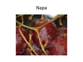 Napa