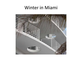 Winter in Miami