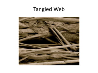 Tangled Web