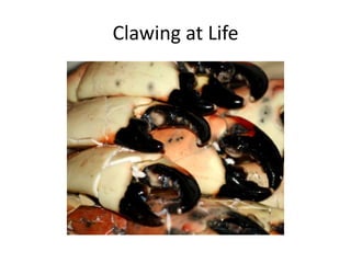 Clawing at Life
