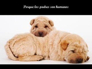 Porque los padres son humanosPorque los padres son humanos
 