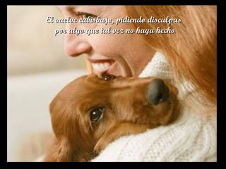 El vuelve cabisbajo, pidiendo disculpasEl vuelve cabisbajo, pidiendo disculpas
por algo que tal vez no haya hechopor algo que tal vez no haya hecho
 