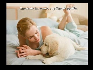 Lamiendo tus manos suplicando perdón.Lamiendo tus manos suplicando perdón.
 