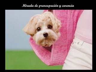 Mirada de preocupación y carencia
 