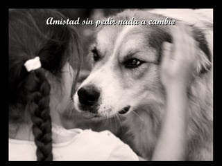 Amistad sin pedir nada a cambioAmistad sin pedir nada a cambio
 