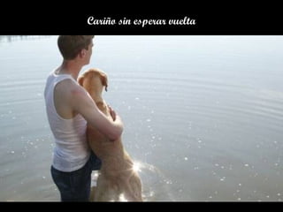 Cariño sin esperar vuelta
 