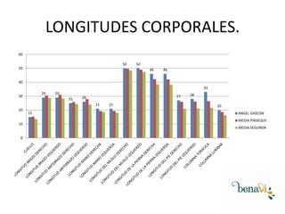 LONGITUDES CORPORALES.
60
50
50
50
46
46
40
33
29
30
29
25
27
26
21
20
10
0
15
21
28
20
ANGEL GASCON
MEDIA PINSEQUE
MEDIA SEGUNDA