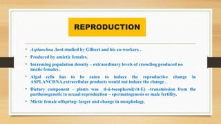 REPRODUCTION
• Asplanchna ,best studied by Gilbert and his co-workers .
• Produced by amictic females.
• Increasing popula...