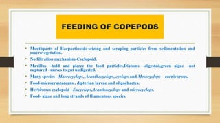 FEEDING OF COPEPODS
• Mouthparts of Harpactinoids-seizing and scraping particles from sedimentation and
macrovegetation.
•...