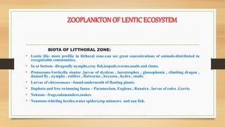 ZOOPLANKTONOF LENTICECOSYSTEM
BIOTA OF LITTHORAL ZONE:
• Lentic life- more profilic in litthoral zone-can see great concen...