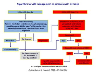 Comprehensive Management of Hepatorenal Syndrome in Cirrhosis Patients ...