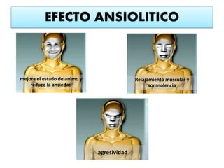 EFECTO ANSIOLITICO
Relajamiento muscular y
somnolencia
agresividad
mejora el estado de animo y
reduce la ansiedad
 
