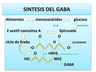SINTESIS DEL GABA
Alimentos monosacáridos glucosa
2co2 GLUCOLISIS
2 acetil coenzima A 3piruvato
O O
ciclo de Krebs H GLUTAMATO
-O O-
O GAD +NH3 DESCARBOXILACION DEL GLUTAMATO
HO NH2
GABA
 