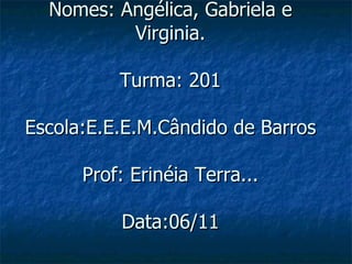 Nomes: Angélica, Gabriela e Virginia. Turma: 201 Escola:E.E.E.M.Cândido de Barros Prof: Erinéia Terra... Data:06/11 