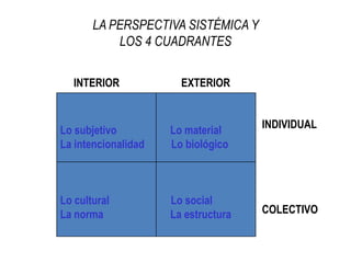 No puede entender totalmente