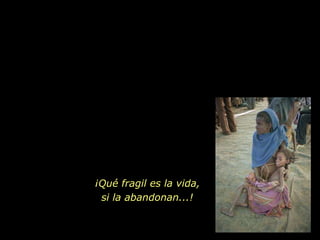 ¡Qué fragil es la vida, si la abandonan...! 